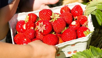 Så kom sommeren! - RET LINKS